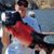 Paul Essick's profile image
