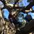 Jose Pablo Chavez's profile image