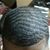 Anthony R. Madry's profile image
