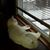 Linda B Schermer's profile image