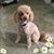 Gretchen Kreitz's profile image