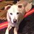 Linda O'Regan Davidson's profile image