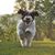 Thomas G. Smith's profile image