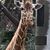 Judith Coran's profile image