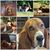 Karen-Ed Dygert's profile image