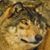 TA Grainger's profile image