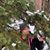 Kristie Saurwein's profile image