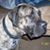 Christine Slansky's profile image