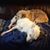 Charlene Gary's profile image