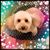 Lauren Corbin's profile image