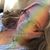 Kathy Matousek's profile image