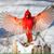 MeShelly Thompson Wilson's profile image
