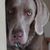 Katie Pendleton Smaglinski's profile image