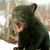 Jesse H. Sims's profile image