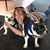 Nikki Hoolihan Anderson's profile image