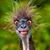 Danielle Wood's profile image