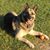 Kimberly Jones-Arceneaux's profile image