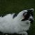 Doris Clingan's profile image
