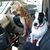 Dawn Fiammi Hudgins's profile image