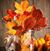 Rose J Goudy's profile image