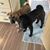 Julie Dahmen's profile image