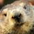 MrMus TangMan's profile image