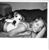Catie Adams's profile image
