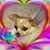 Tank Guadalupe Torres's profile image