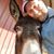 Orhan Orgun's profile image