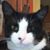 Mike Murray's profile image