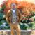 Anthony Higgins's profile image