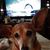 Jody Workman's profile image
