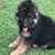 Crissi Lee's profile image