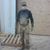 Mark Galloway's profile image