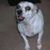 Yvonne Amato's profile image