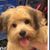 Kevin Graf's profile image