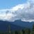 Jill Whisnant Walker's profile image