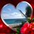 Linda Ford's profile image