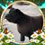 Amanda Stone's profile image