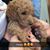 Monica Orchard-Brown's profile image