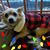 Katelyn Leafgreen's profile image