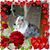 Leigh Fairchild's profile image