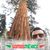 Ramiro Balderas's profile image