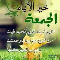 بدوع سلام's profile image