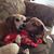Nelda Isham's profile image