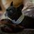 Nita Nelson Ryder's profile image