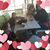 Delfinia Hernandez's profile image