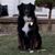 Jon Pirchner's profile image