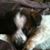Johnna Sparks's profile image