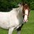 B.j. Sanders's profile image